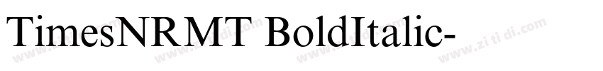 TimesNRMT BoldItalic字体转换